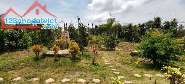 Bán gấp đất Lộc Nam, Bảo Lâm - 1