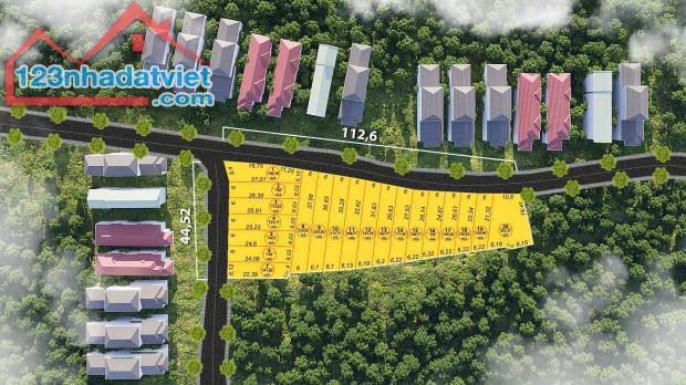 Bán gấp đất Lộc Nam, Bảo Lâm - 2