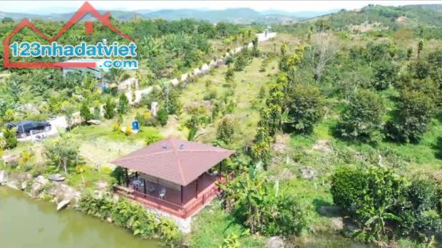 Đất nền giá cực chất tại Quốc Lộ 55, 400 triệu, 250m2 - 1