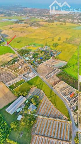 CÁCH BIỂN 2KM - TT PHƯỚC HẢI . LONG ĐẤT KHU CAMPINH ĐỒNG GIÓ - 2