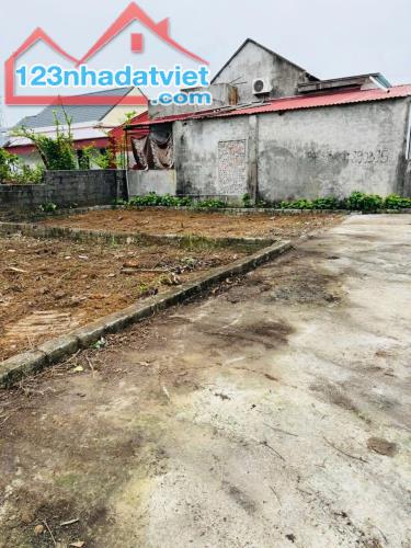 Bán đất Hợp Đức - Đồ Sơn - Hải Phòng - 4