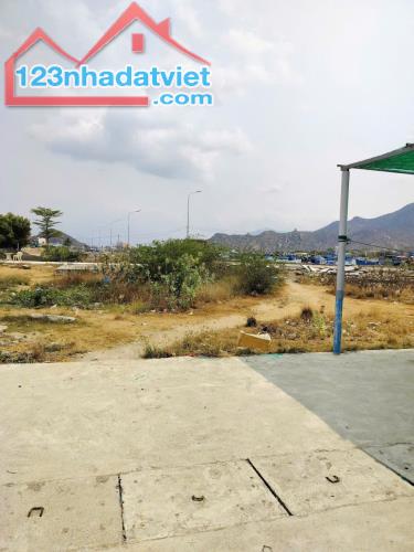 SỞ HỮU NGAY LÔ ĐẤT ĐẸP TDC NINH CHỮ – GIÁ CHỈ 870 TRIỆU – VỊ TRÍ VÀNG ĐẮC ĐỊA!