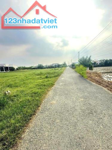 530tr B.á.n đất thổ cư, nhựa Xóm Mãng, Tân Đông, Gò Công Đông, Tiền Giang. - 1