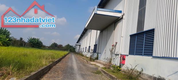 Cho thuê kho mới 100% Cần Giuộc linh hoạt đến 11.000 m2 3,5usd - 3
