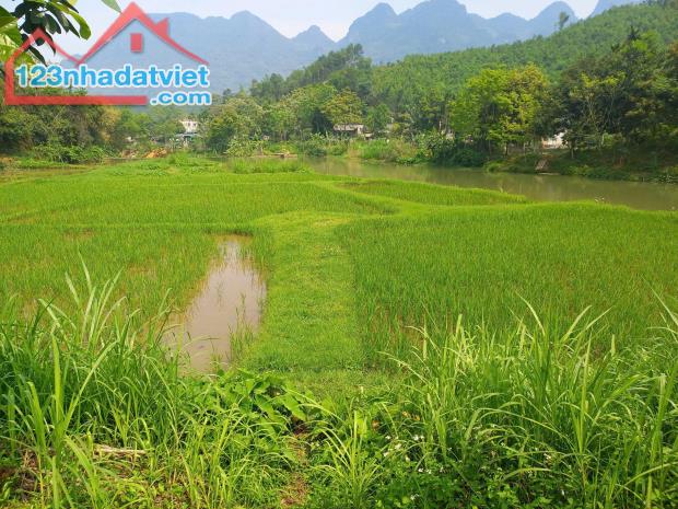CHÍNH CHỦ EM CẦN BÁN LÔ ĐẤT ĐẸP - GIÁ TỐT - Vị Trí Đắc Địa Tại Kim Bôi, Hoà Bình - 1