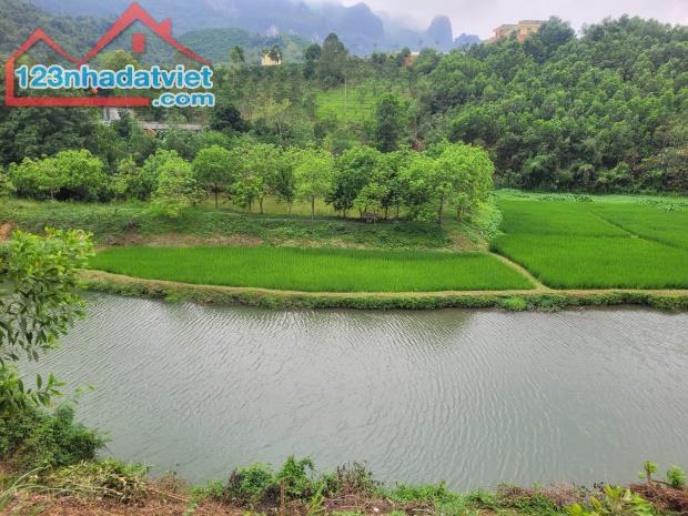 CHÍNH CHỦ EM CẦN BÁN LÔ ĐẤT ĐẸP - GIÁ TỐT - Vị Trí Đắc Địa Tại Kim Bôi, Hoà Bình - 2