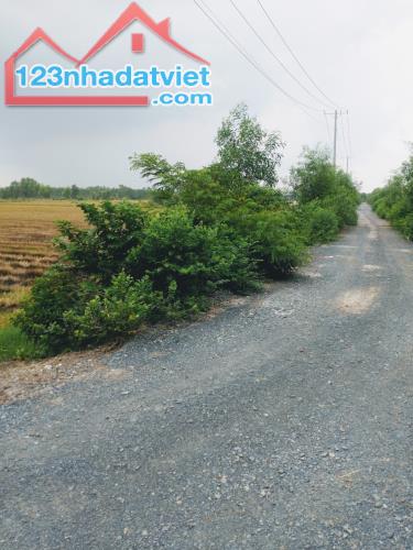Cơ Hội Vàng! 103.000m2 Đất Nông Nghiệp Đức Hòa Long An - Đường DT823 - 100 Tỷ - 1