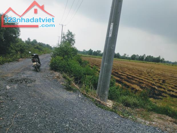 Cơ Hội Vàng! 103.000m2 Đất Nông Nghiệp Đức Hòa Long An - Đường DT823 - 100 Tỷ - 4
