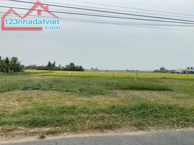 b.á.n đất mặt tiền nhựa HL05B Bình Nghị, Gò Công Đông, Tiền Giang. - 1