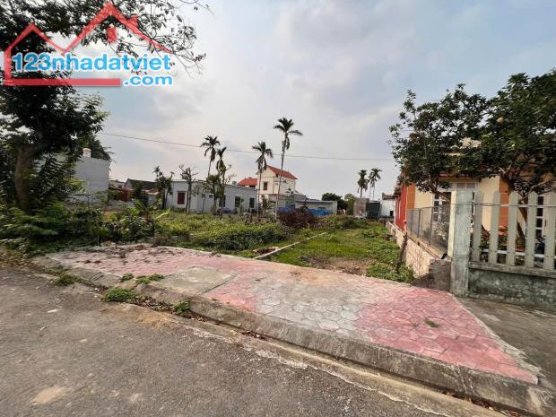 Bán 100m2 đất trục thôn Thọ Linh Minh Tân Kiến Thụy giá 2 tỷ hơn - 1