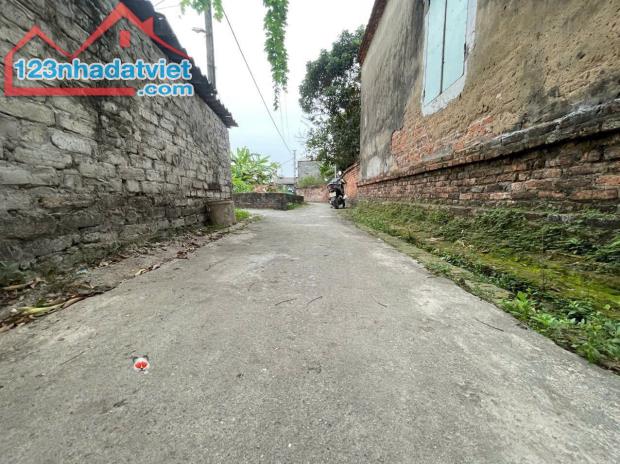 hòa lạc - hòa phong - mỹ hào - hưng yên - 1