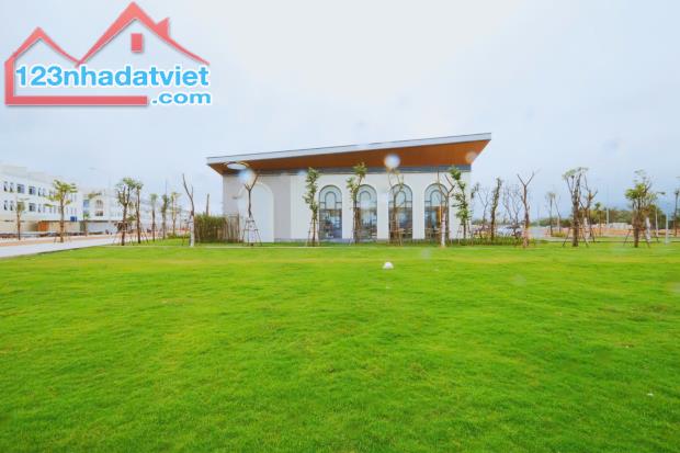 🏡Cần bán gấp – Đất sát trung tâm TP Quy Nhơn, mặt tiền QL19 chỉ cần 450 triệu nhận nền! - 2