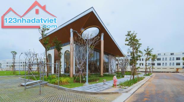 🏡Cần bán gấp – Đất sát trung tâm TP Quy Nhơn, mặt tiền QL19 chỉ cần 450 triệu nhận nền! - 3