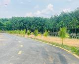 Bán Đất Tp mới Bình Dương 7triệu m2 cạnh đường Mỹ Phước Tân Vạn