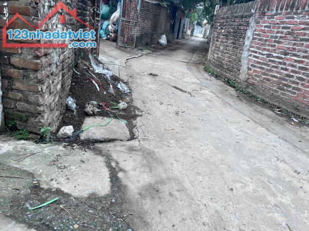 Bán 77m đất thôn Tráng Việt, xã Tráng Việt, Mê Linh. Đón dự án cầu Thượng Cát - 2