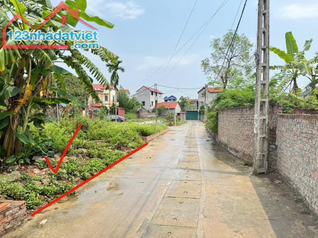 Bán đất Thanh Lâm, Mê Linh. Đường thông, oto tránh, gần chợ hoa quả Mê Linh