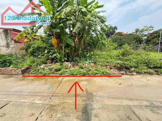 Bán đất Thanh Lâm, Mê Linh. Đường thông, oto tránh, gần chợ hoa quả Mê Linh - 1