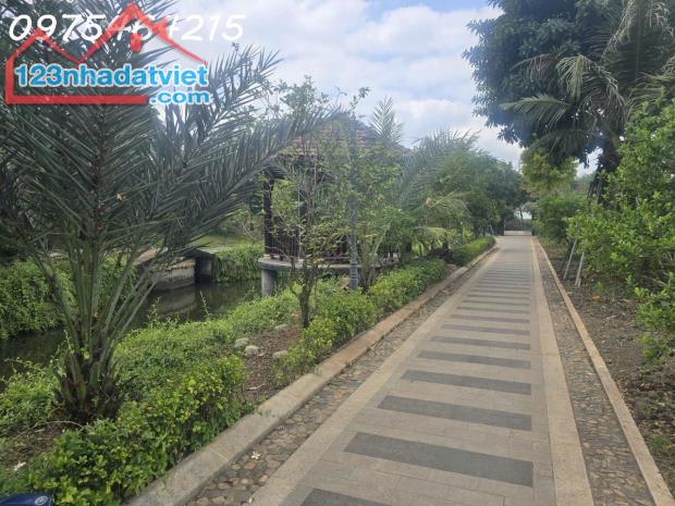 Bán biệt thự sân vườn mặt tiền Long Thuận, Long Phước, Quận 9