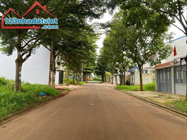 💥  [ HIẾM ] Đất mặt tiền Tôn Thất Tùng, khu Lê Vụ. 4tỷ980 - 1