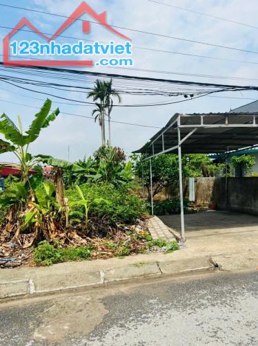 Bán đất Minh Đức - Đồ Sơn - Hải Phòng - 3