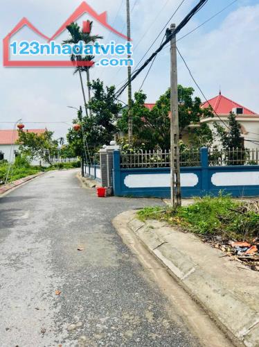 Bán đất Minh Đức - Đồ Sơn - Hải Phòng - 4