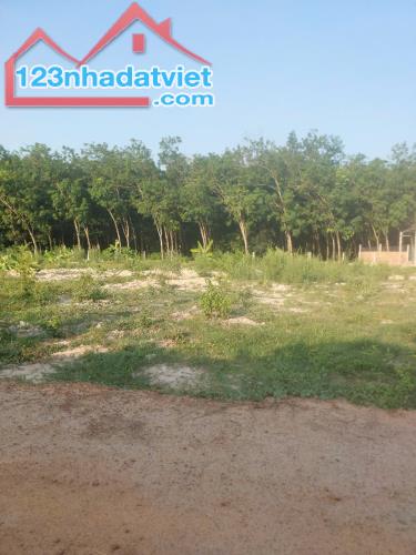 MẶT TIỀN KHU PHÂN LÔ ĐƯỜNG 1 SẸC --786 TÂY NINH --199M2--CÓ 50 THỔ CƯ - 2