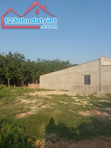 MẶT TIỀN KHU PHÂN LÔ ĐƯỜNG 1 SẸC --786 TÂY NINH --199M2--CÓ 50 THỔ CƯ - 4