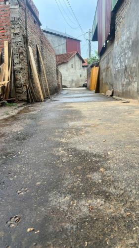 Đất chờ khách, 103m2, mt5m, Thanh Trí, Sóc Sơn, 2.15 tỷ, ô tô thông. - 4