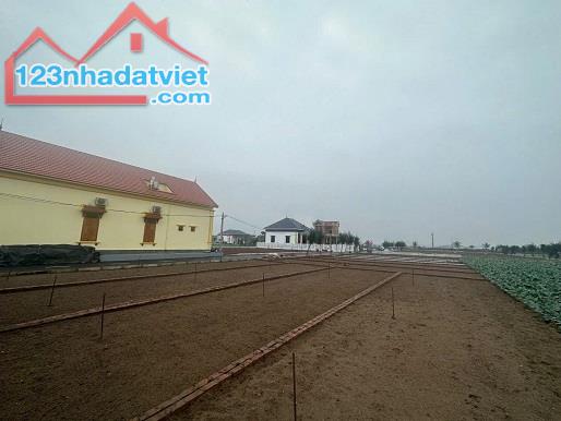 SIÊU PHẨM ĐẦU TƯ NGHỈ DƯỠNG – ĐẤT BIỂN GIAO PHONG, NAM ĐỊNH
Vị trí đẹp - Tiềm năng tăng - 1
