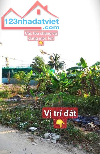 BÁN ĐẤT MẶT TIỀN LÒ LU - TRƯỜNG THẠNH, TP. THỦ ĐỨC 🔥 - 4