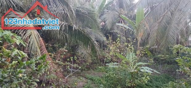 Cần bán 1 công đất sát DT 870 Tiền giang. Lên Cầu Rạch miễu 2. - 2