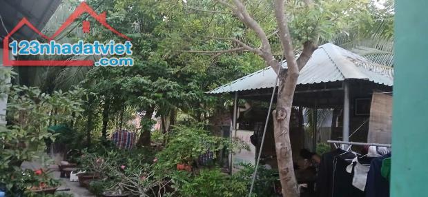 Cần bán 1 công đất sát DT 870 Tiền giang. Lên Cầu Rạch miễu 2. - 4