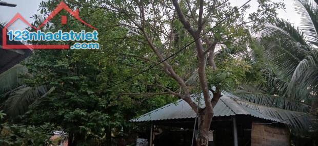 Cần bán 1 công đất sát DT 870 Tiền giang. Lên Cầu Rạch miễu 2. - 5