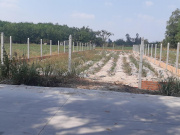 Đất xây nhà vườn Ngang 30m dài 48m, đất sạch đẹp ngay Cổng Bình Lợi, đường số 2, giá 2 ty1