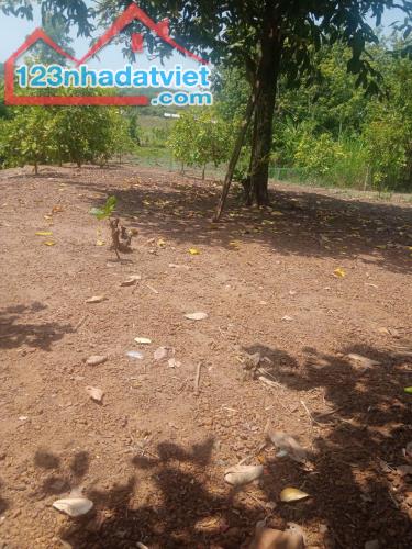 🌟 BÁN GẤP ĐẤT 2675M², 2MT VIEW SÔNG, DÂN CƯ SẦM UẤT, QL14 MINH LẬP CHƠN THÀNH, 240TR🌟