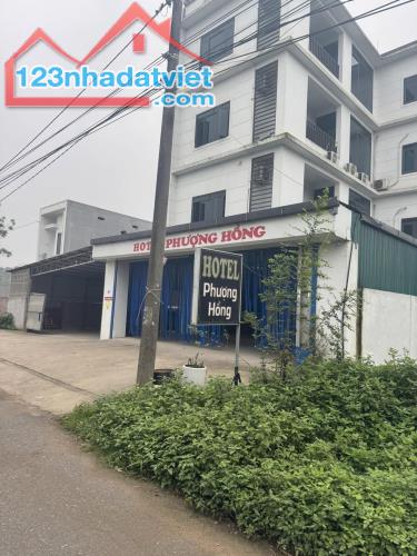 Cần bán đất Hoàng Cương, Thanh Ba – Gần KCN, tiện kinh doanh 280mx 8m chỉ 3.6 Tỷ.