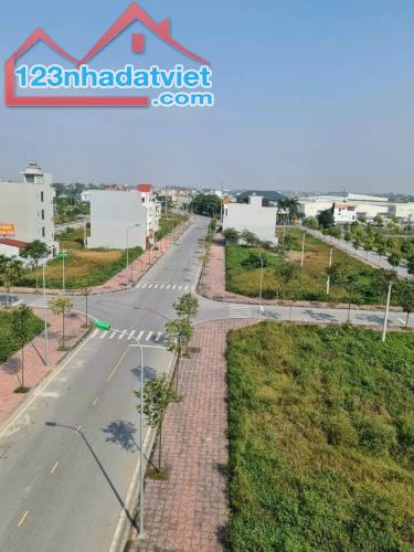 Cơ hội vàng cho nhà đầu tư, vị trí đắc địa trên trục chính KĐT Ford thành phố hải dương - 1