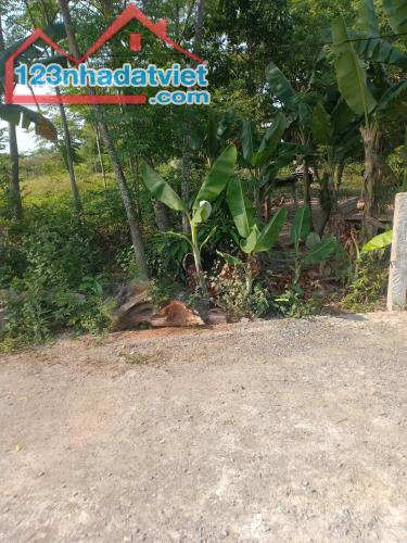 Lô đất Nhơn Thọ 1 – Hòa Phước – gần Trường Nguyễn Văn Linh - 1