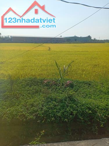 Lô đất Nhơn Thọ 1 – Hòa Phước – gần Trường Nguyễn Văn Linh - 2