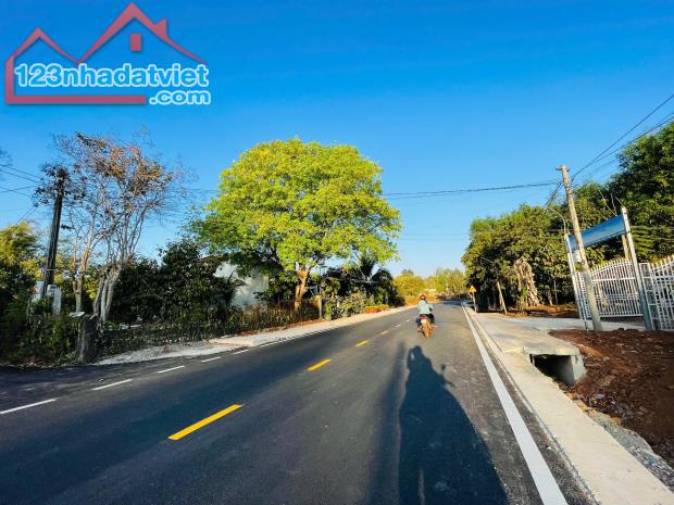 BÁN 1 SÀO 3 ĐẤT THỔ CƯ FULL SHR CẶP QL13 DÂN ĐÔNG TRUNG TÂM THỊ XÃ 190TR - 1