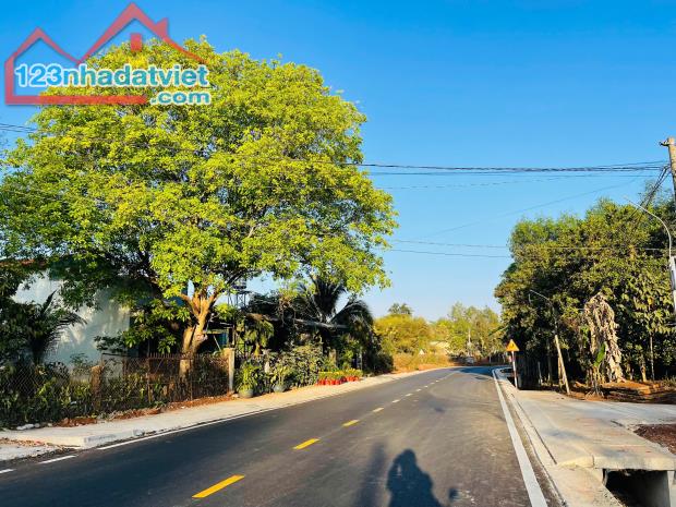 CHÍNH CHỦ BÁN 1323m2 ĐẤT LÀM NHÀ VƯỜN THỔ CƯ SẴN GẦN QL13 200TR - 1