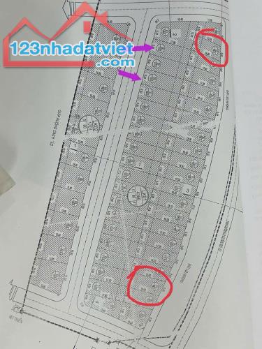 Sở Hữu Ngay 3 Lô Đấu Giá Đào Dương, Ân Thi, Hưng Yên - GIÁ CỰC SỐC - 1