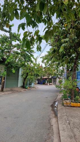 Lô Đất Đẹp (8x22) Mặt Tiền Đường 12m Ấp Đông 3, xã Thới Tam Thôn, Hóc Môn - 1
