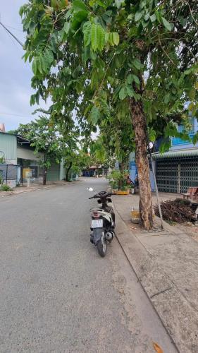 Lô Đất Đẹp (8x22) Mặt Tiền Đường 12m Ấp Đông 3, xã Thới Tam Thôn, Hóc Môn - 2