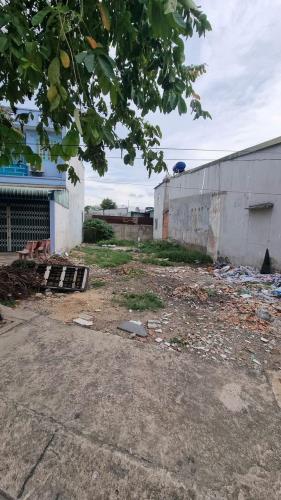 Lô Đất Đẹp (8x22) Mặt Tiền Đường 12m Ấp Đông 3, xã Thới Tam Thôn, Hóc Môn - 3
