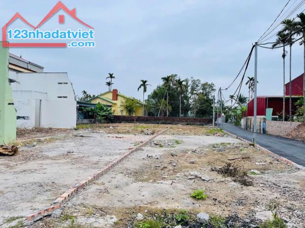 Bán đất 402 Tư Thuỷ - Hoà Nghĩa - Dương Kinh - Hải Phòng - 1