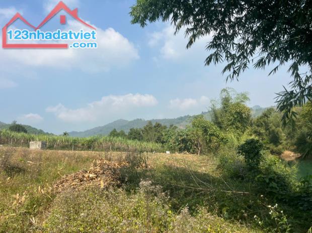 Bán 2561M có 1400M đất ở bám suối 65M_Bắc Phong Cao Phong HB_2,x tỷ - 1