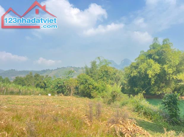 Bán 2561M có 1400M đất ở bám suối 65M_Bắc Phong Cao Phong HB_2,x tỷ - 3