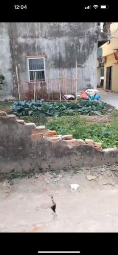 Bán đất Vạn Phúc, Thanh Trì,  35m2, mặt tiền 5.7m, giá 1.85 tỷ