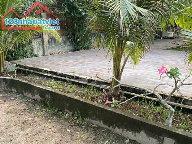 Bán đất Trung Viết, 12 tỷ, 300m2, Củ Chi, HCM - 4